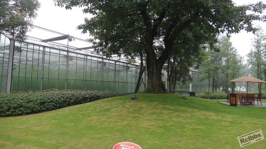 DSC04002.jpg