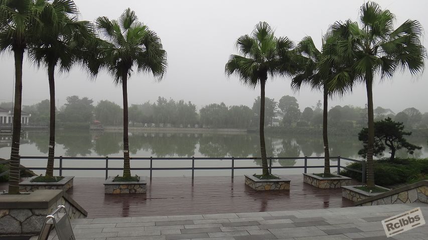 DSC03990.jpg
