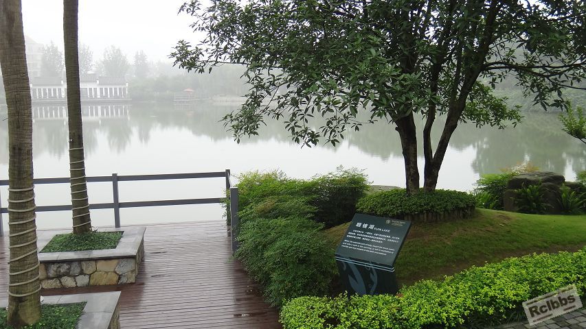 DSC04010.jpg