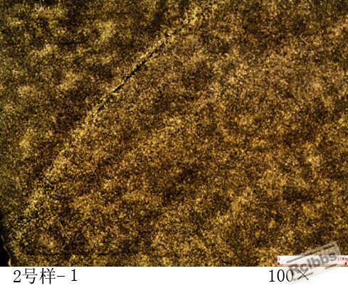 02-1.jpg