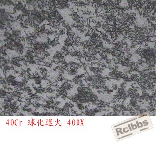 20120630-1.jpg