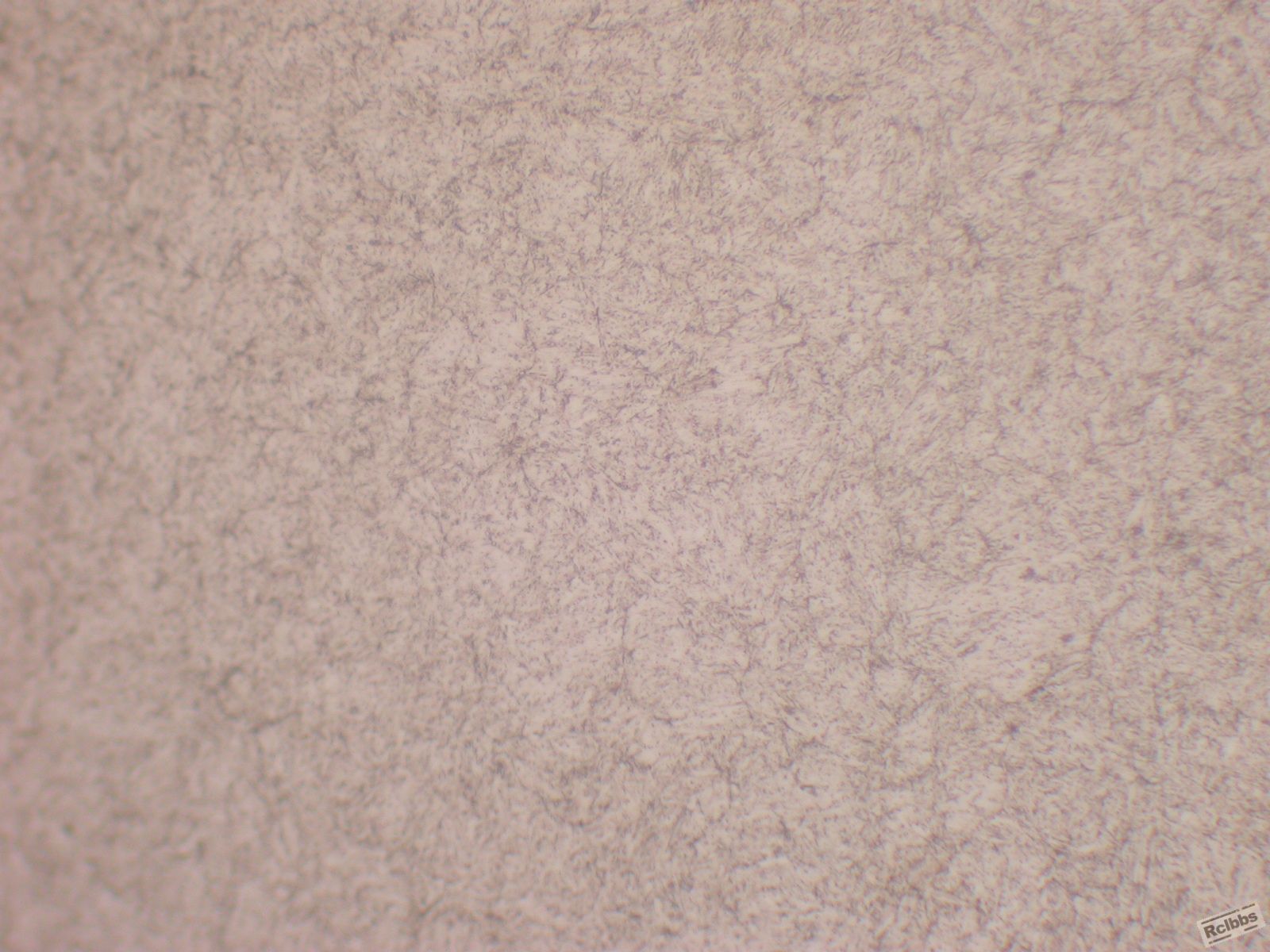 DSCN9632.JPG