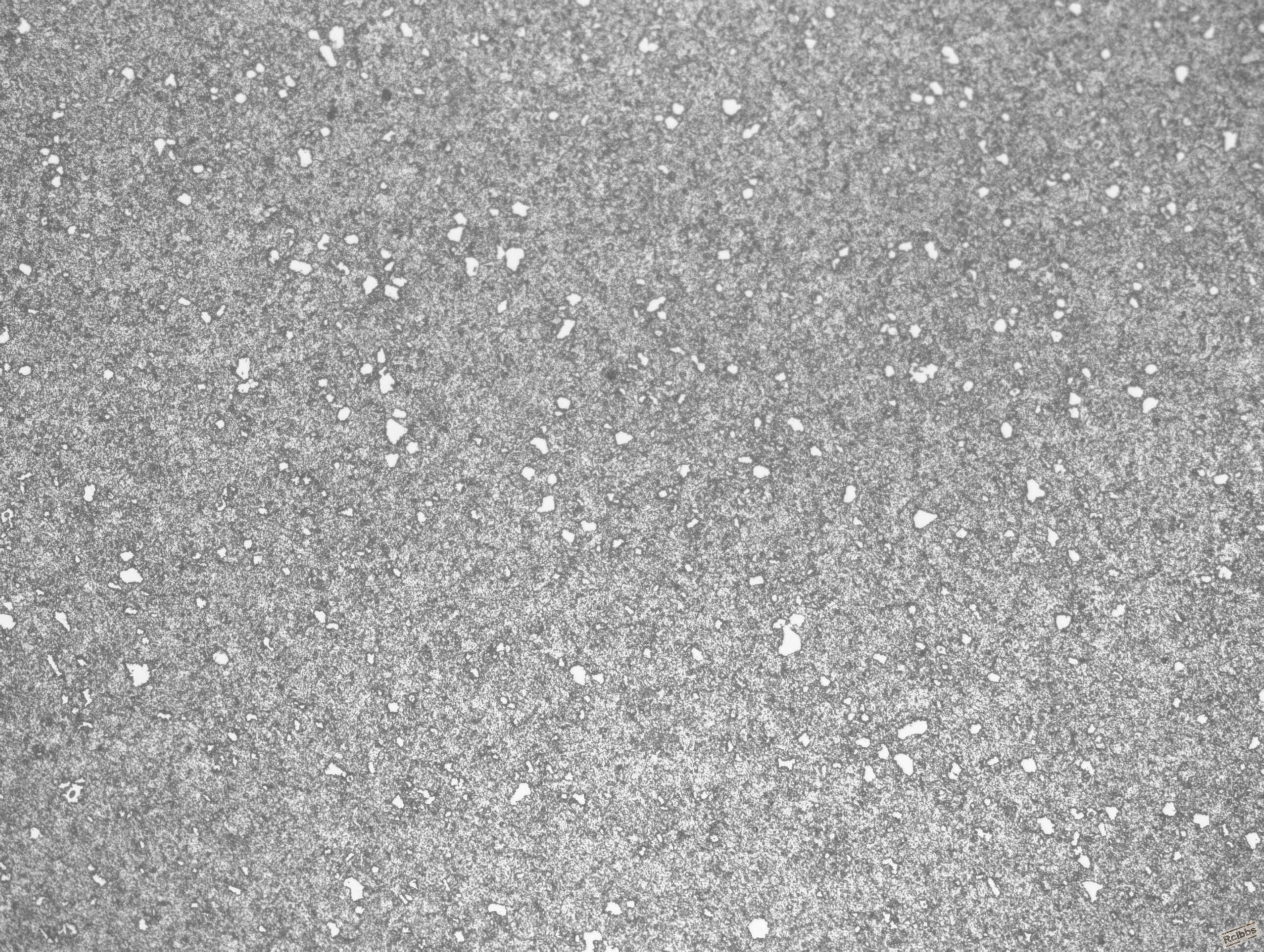 9Cr18        200x  120704_001.JPG