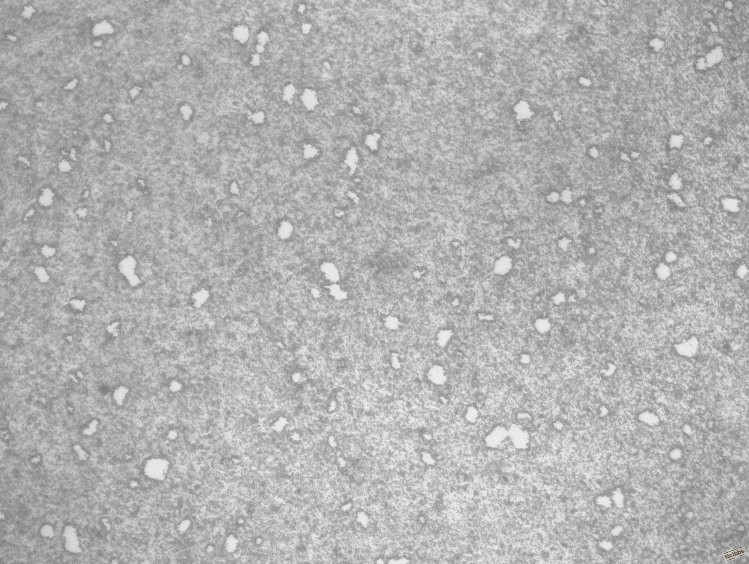 9Cr18        500x  120704_002.JPG