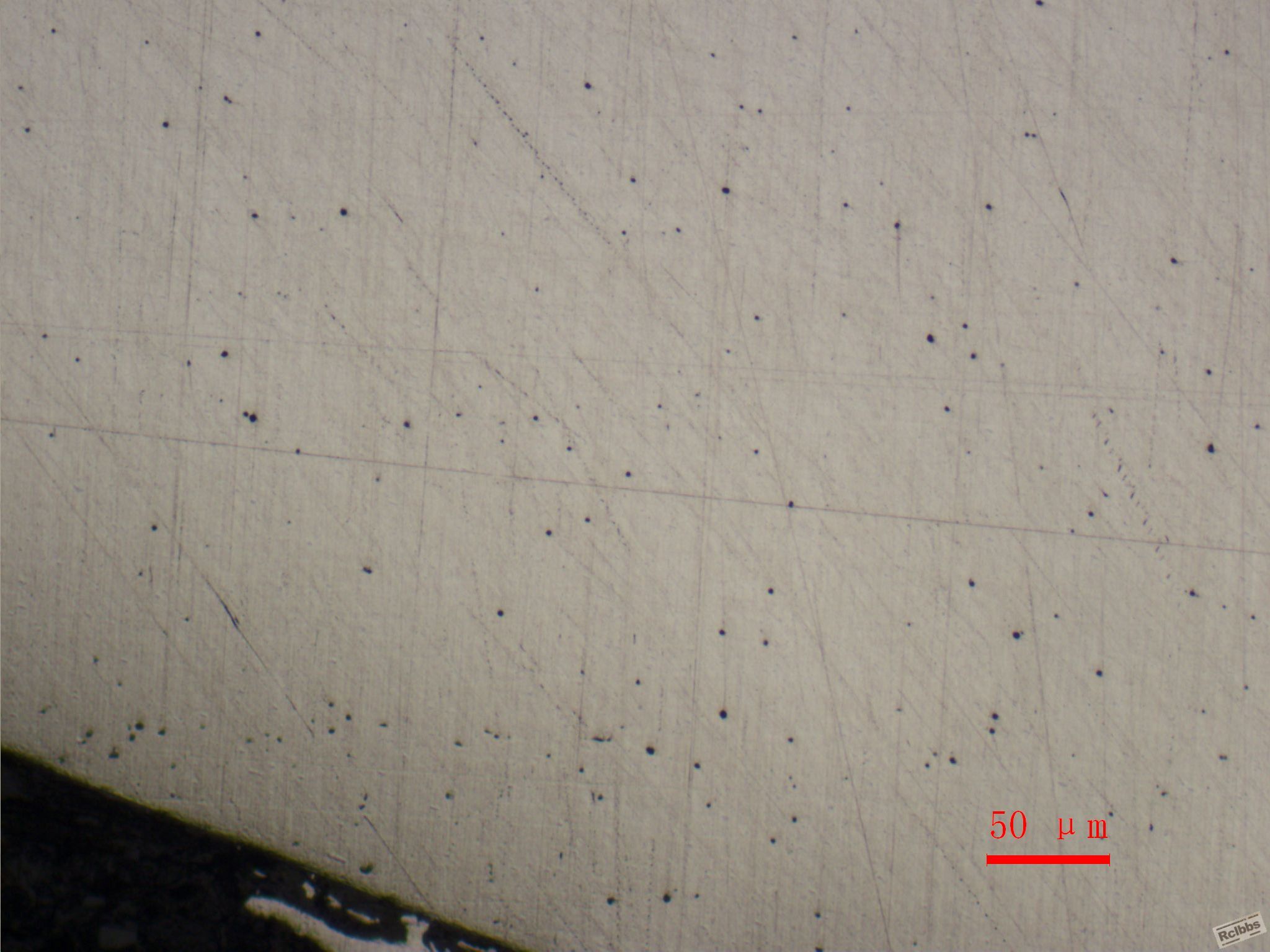 200X-腐蚀前中心