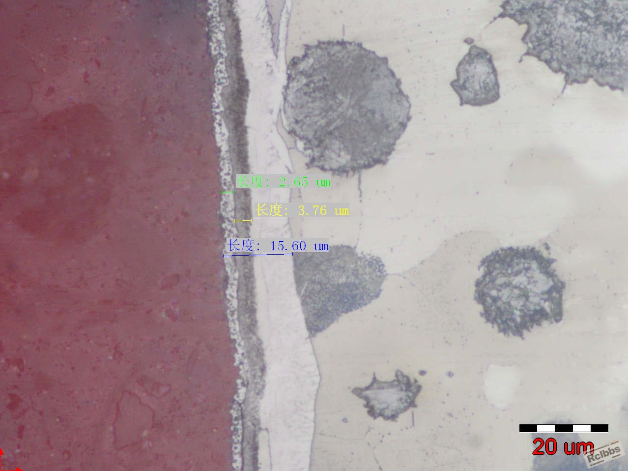 1000x-1.jpg