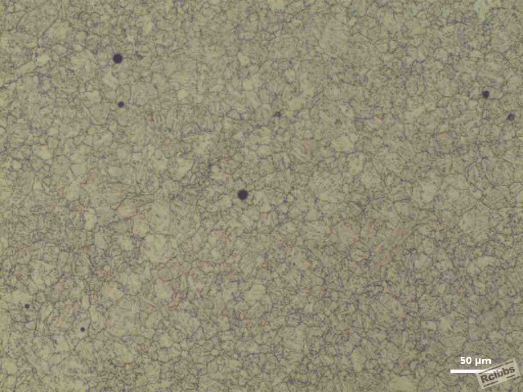 XREMLAB_120717_002.JPG