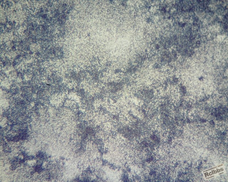 PH13锻件400倍3 (800x640).jpg