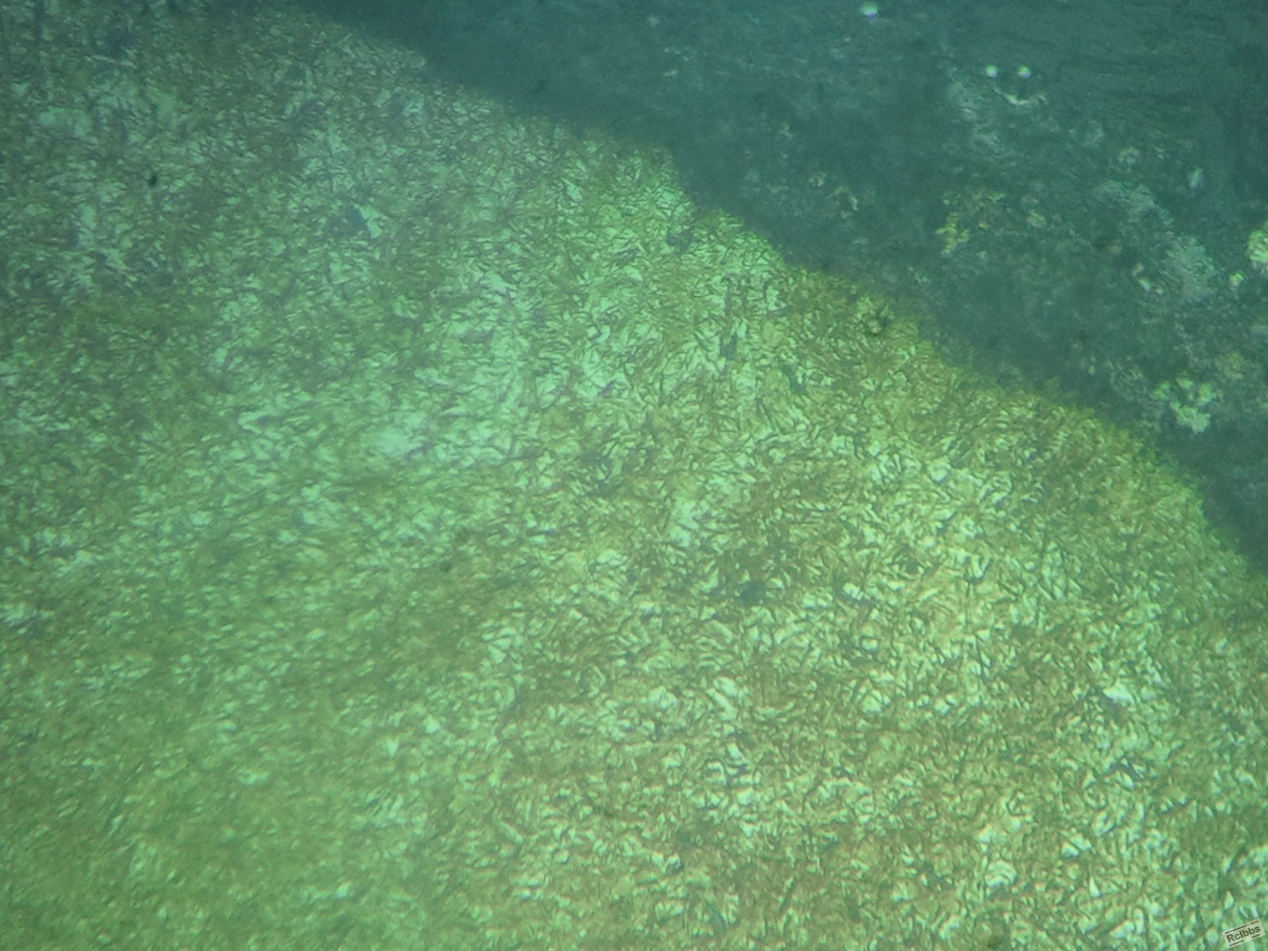 硬度不足