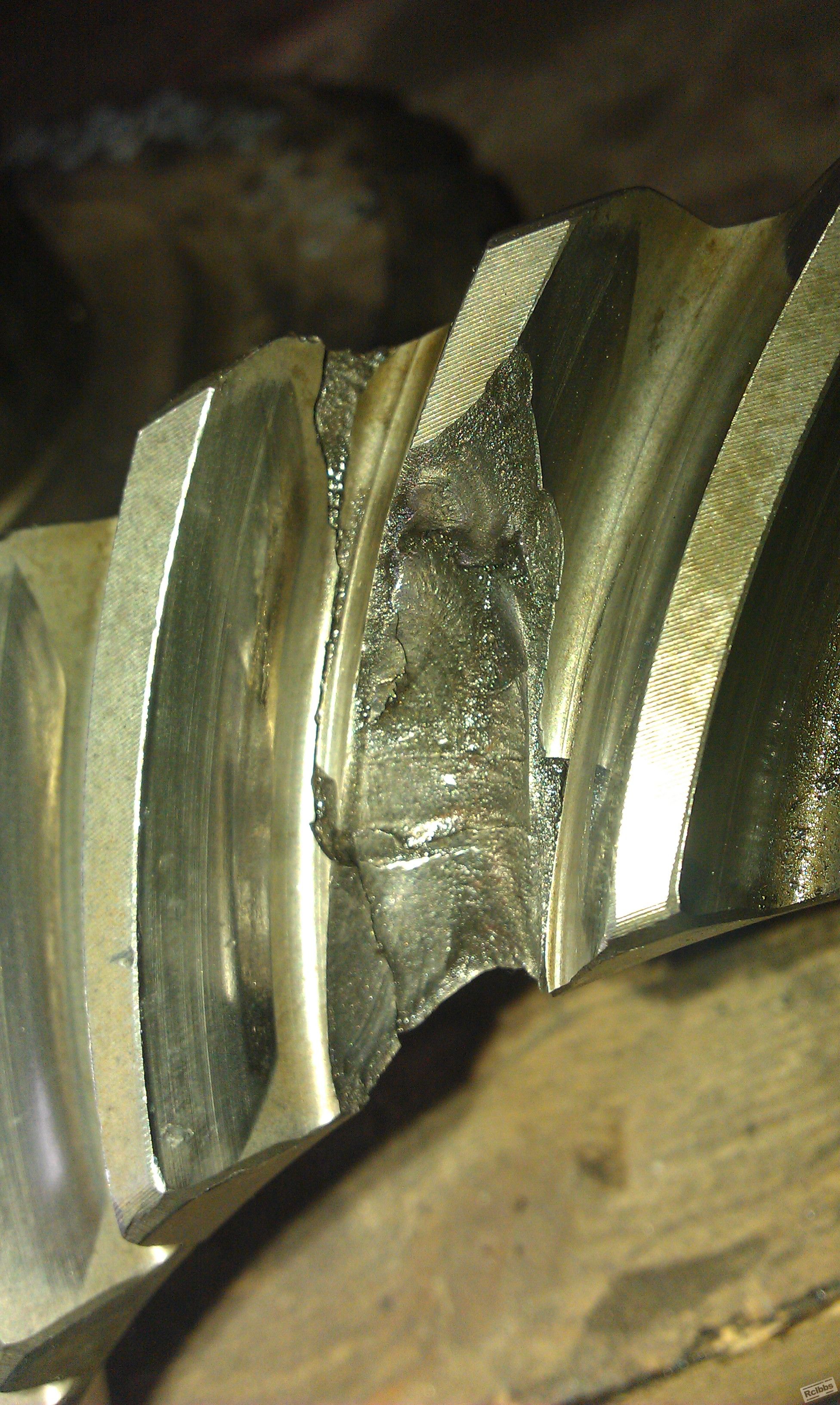 IMAG0104.jpg