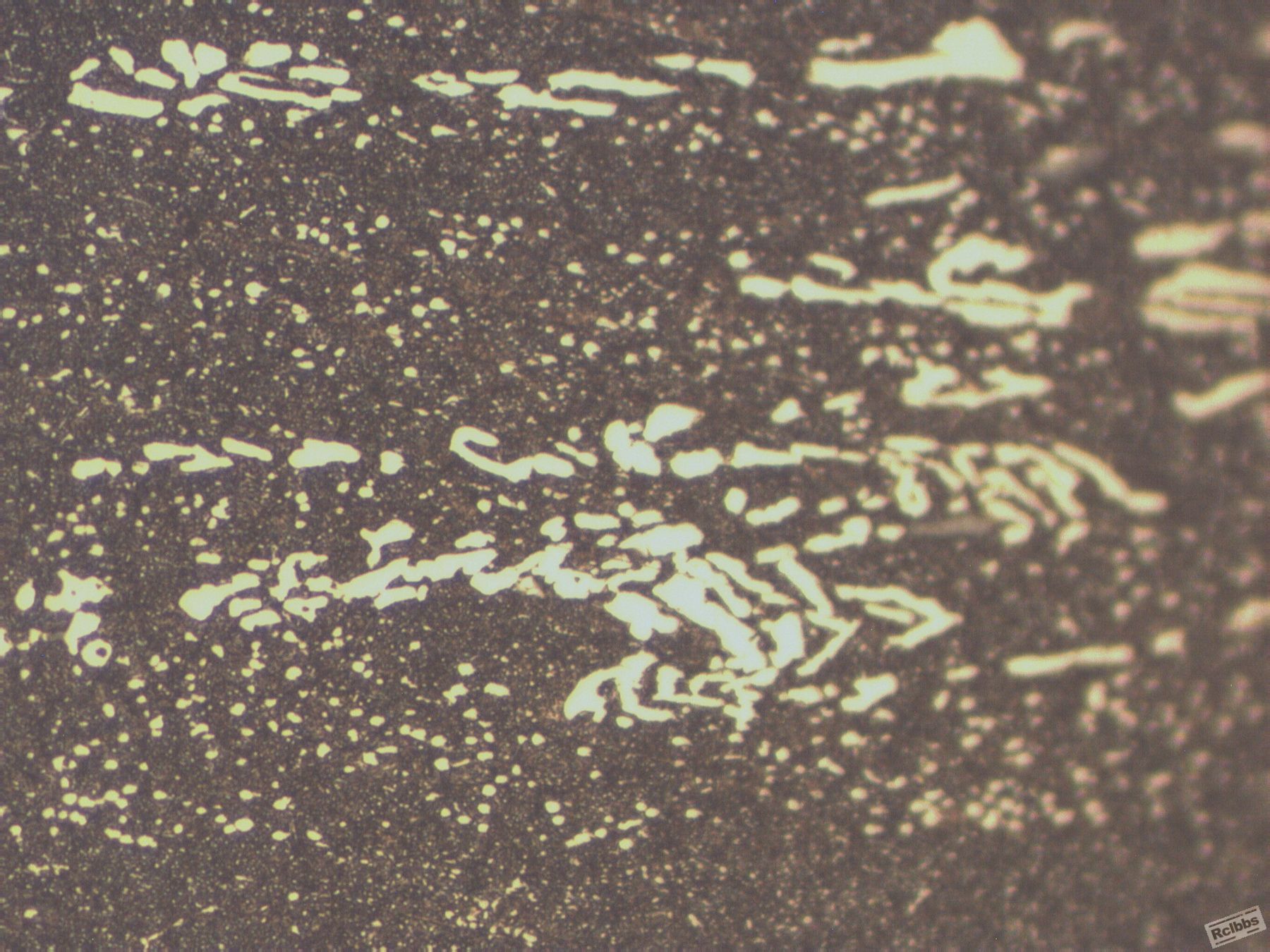 cr123.jpg