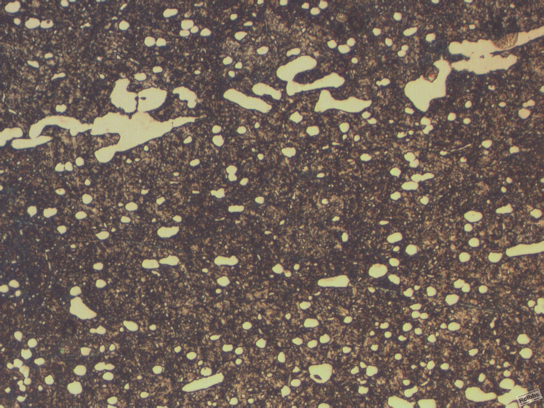 cr124.jpg