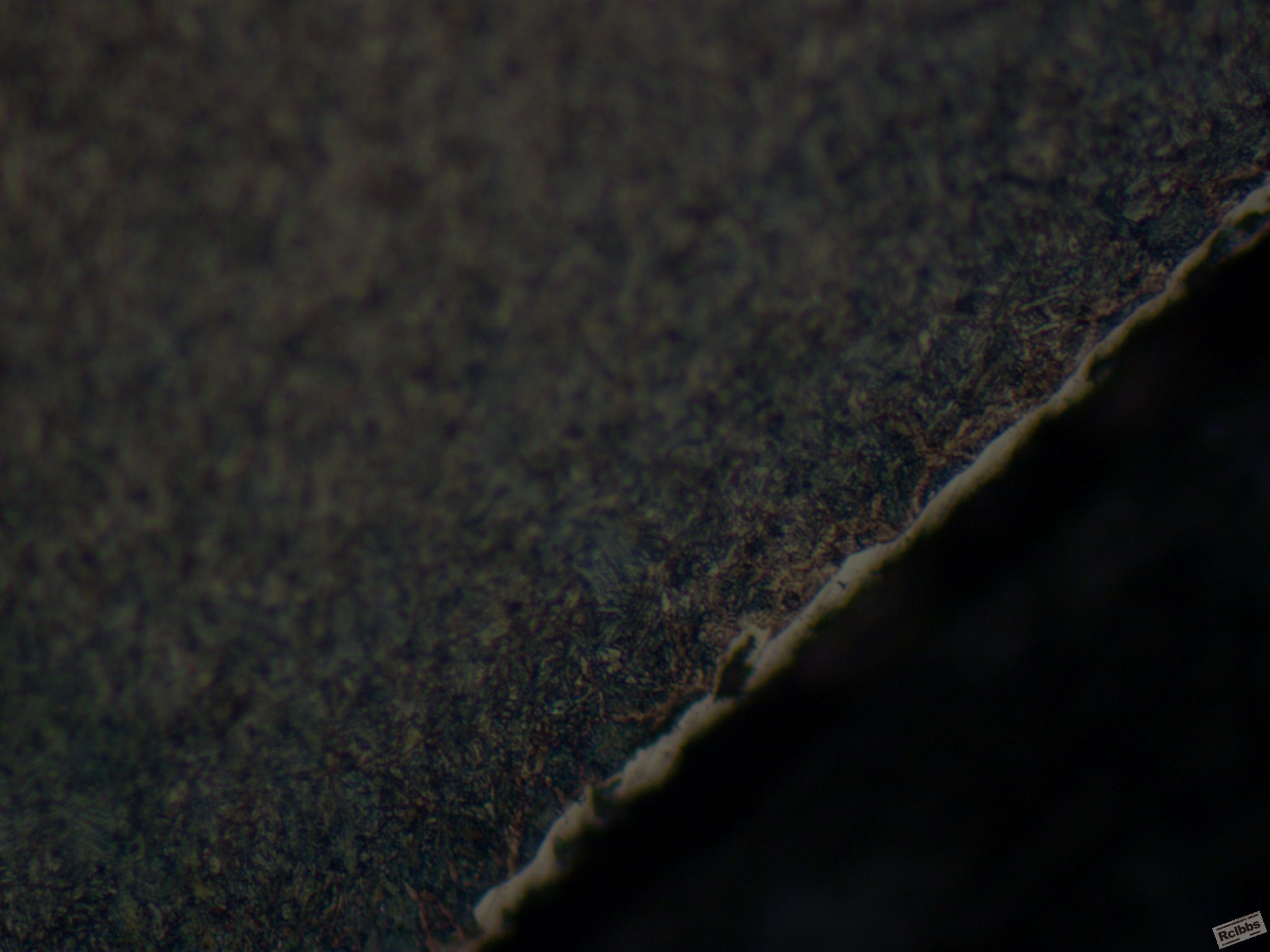 500X-1-腐蚀后4%硝酸酒精.JPG