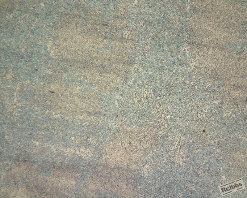 PH13锻件100倍2硝酸 (800x640).jpg