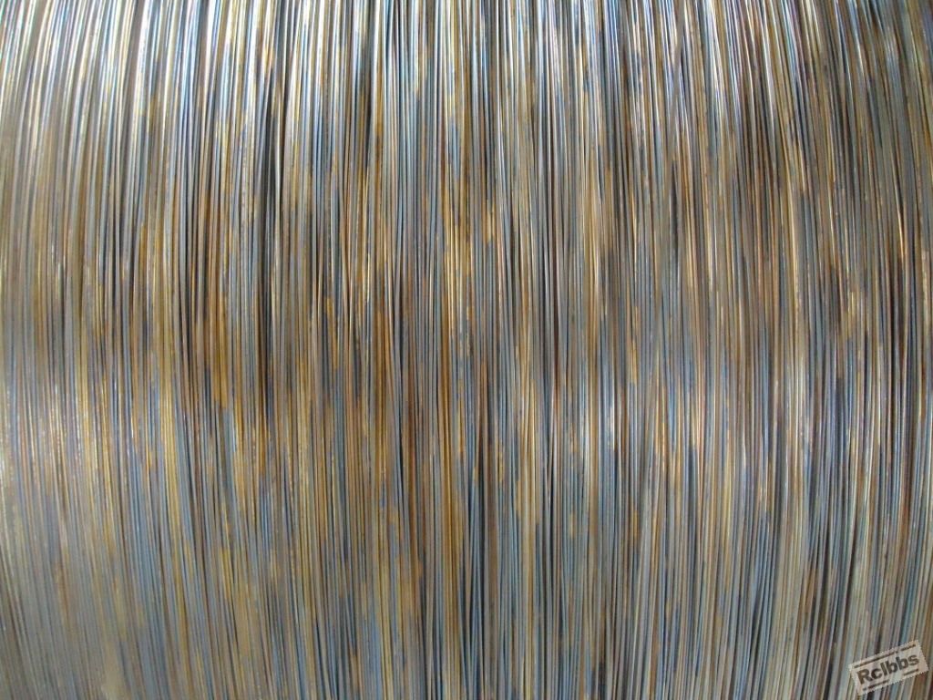 DSC01245.JPG