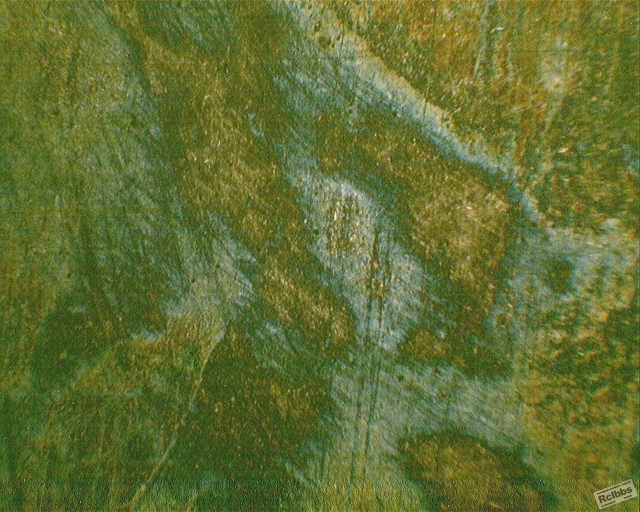 100-10.jpg