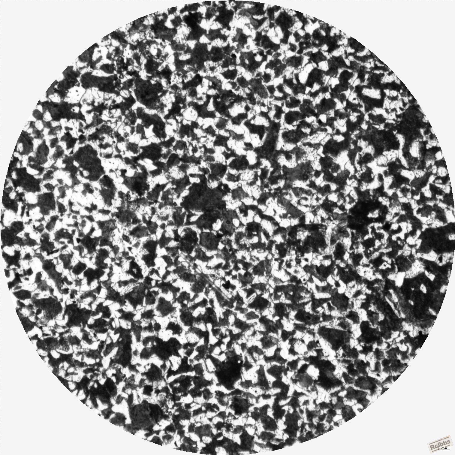 晶粒均匀区100X   1.JPG