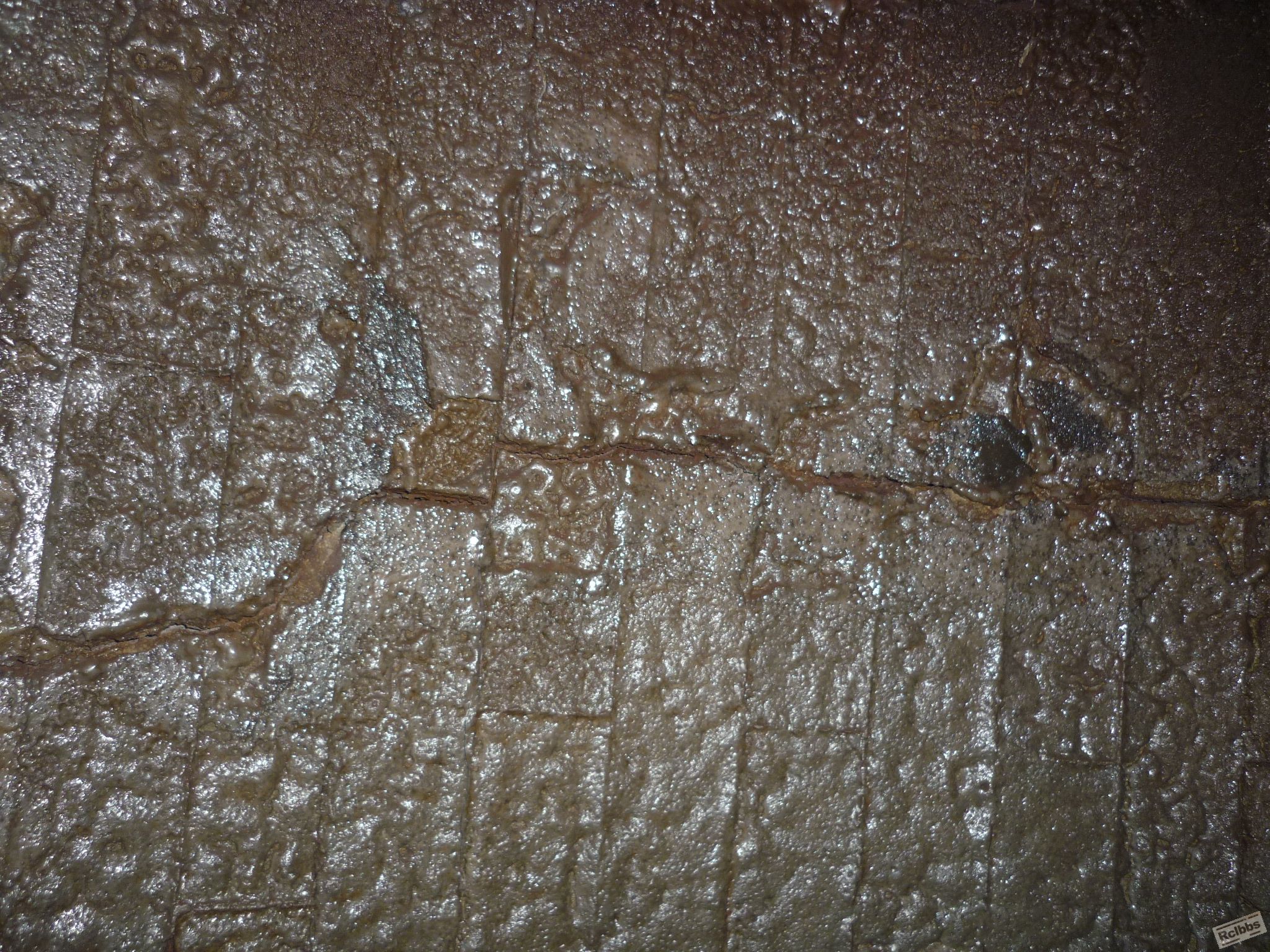 P1060182.JPG