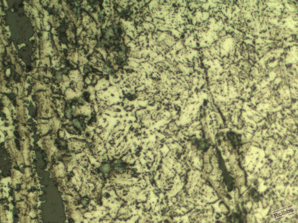 裂纹附近组织500x.gif