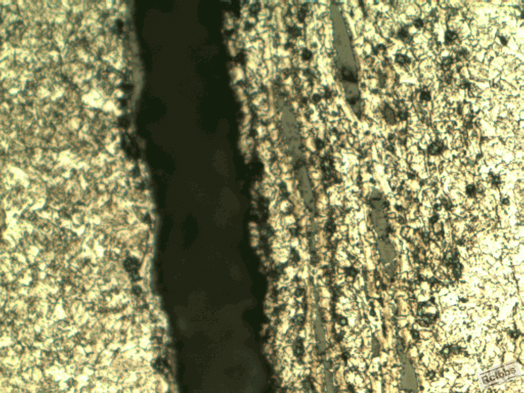 裂纹附近组织500x2.gif