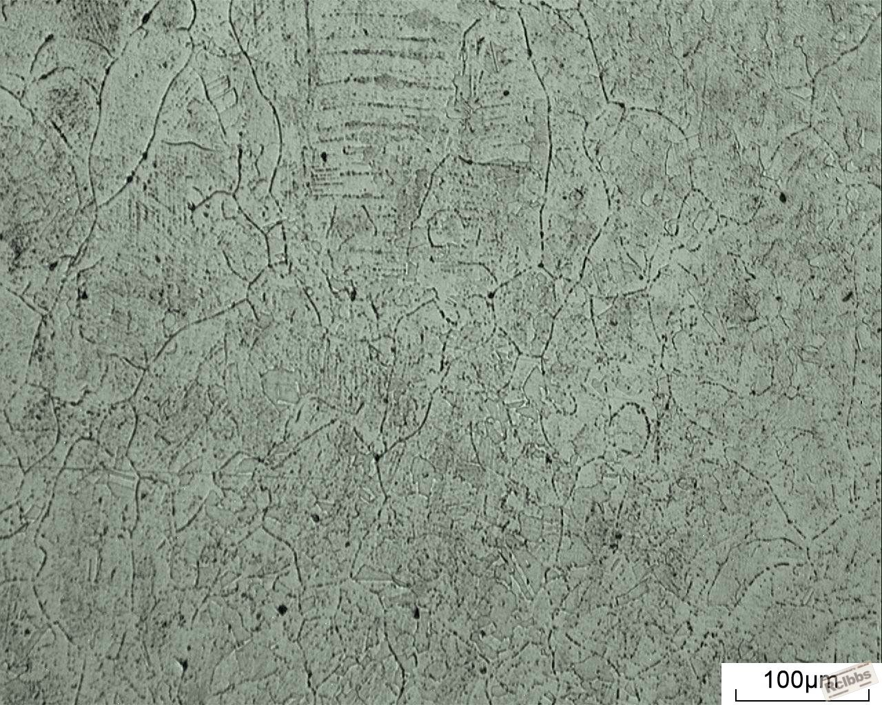 20120802100136593.jpg