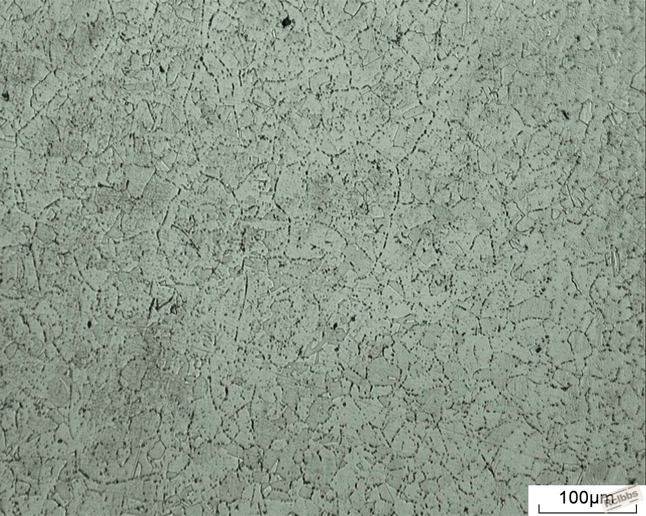 20120802100147515.jpg