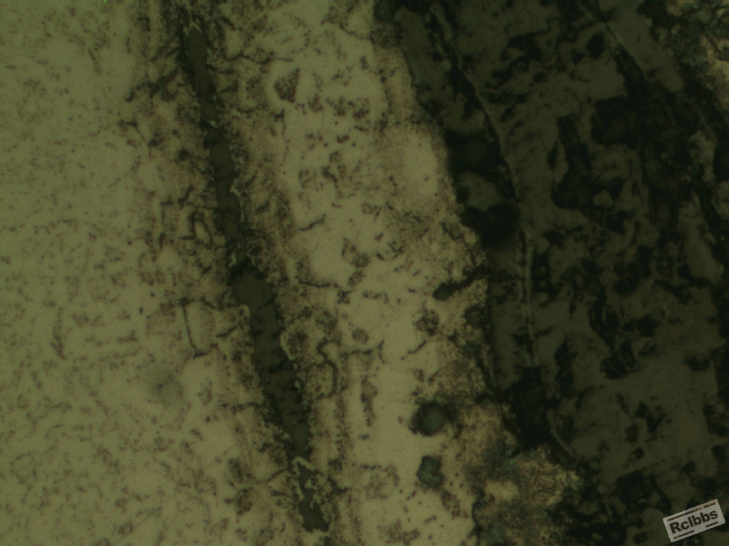 500x23.gif