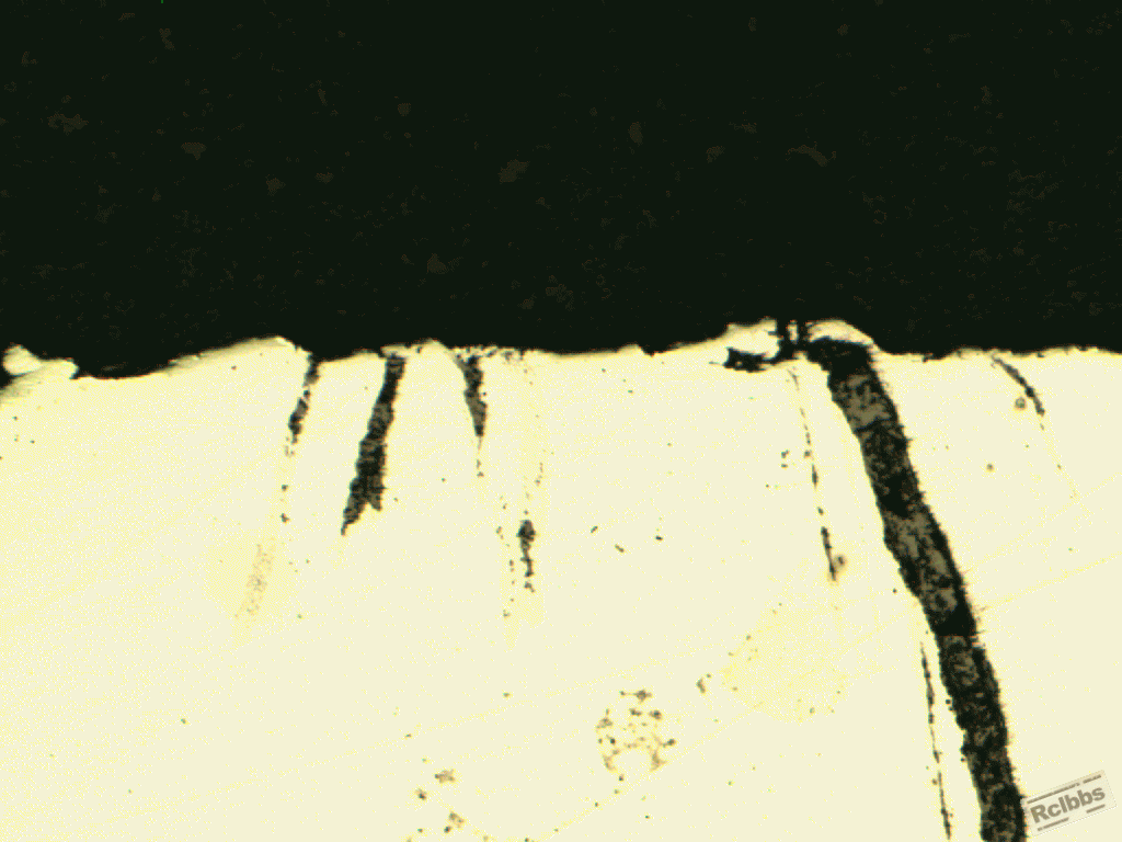 50x17.gif