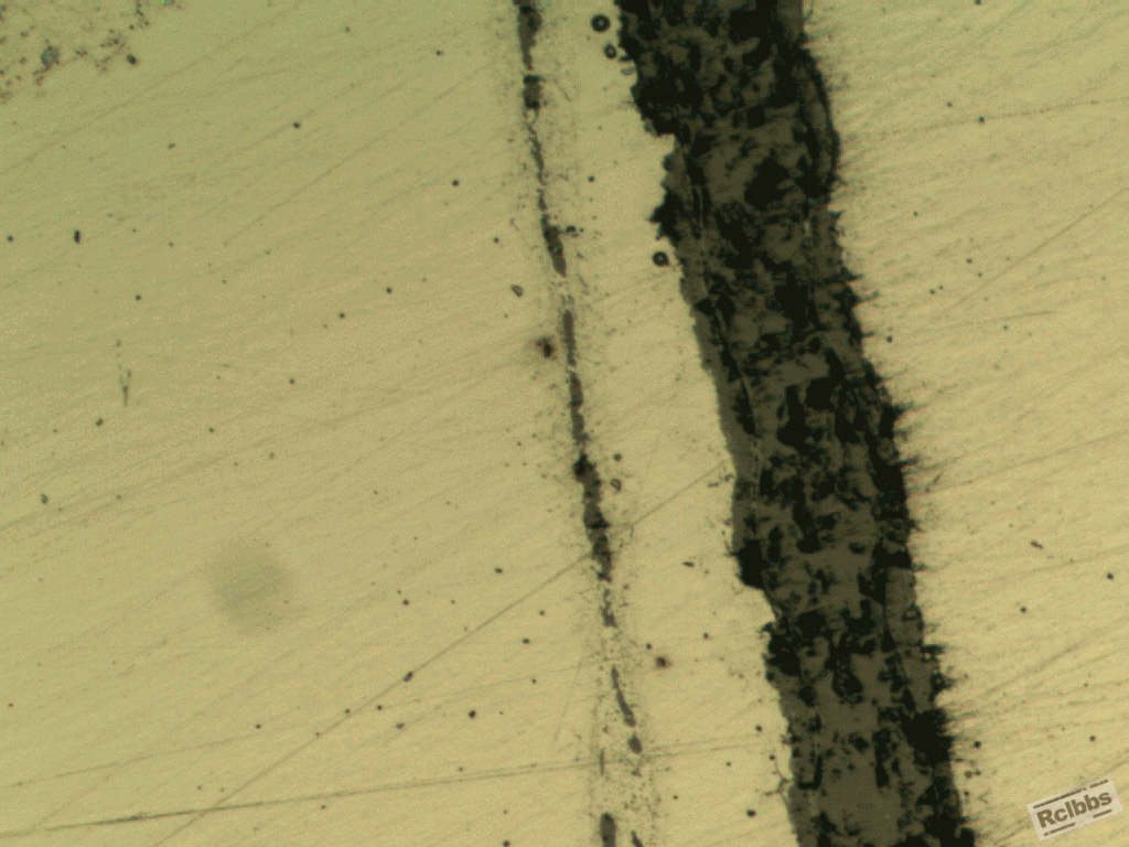 100x7.gif