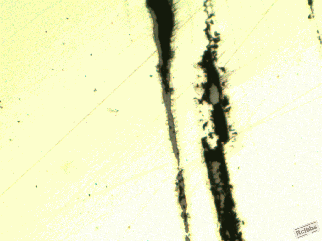 100x14.gif