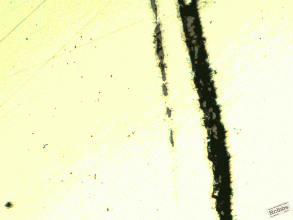 100x21.gif