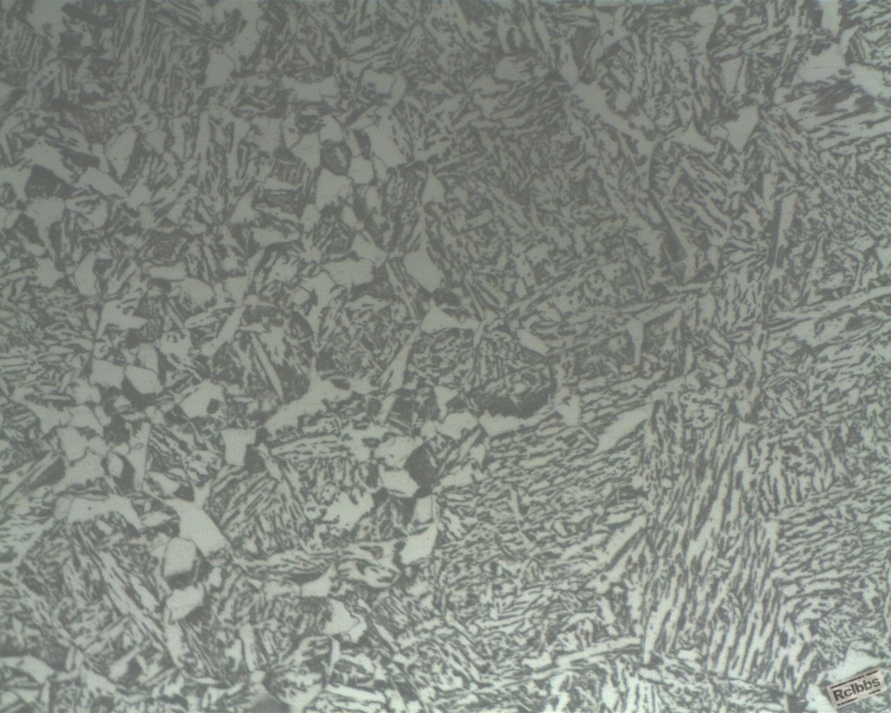 试样1-500X