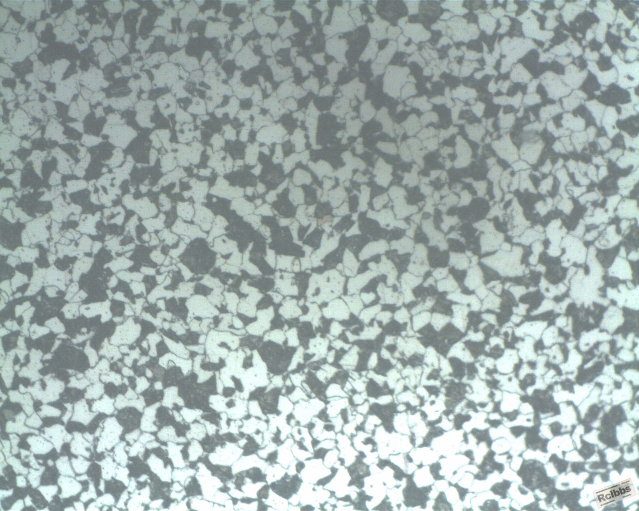 试样2-500X
