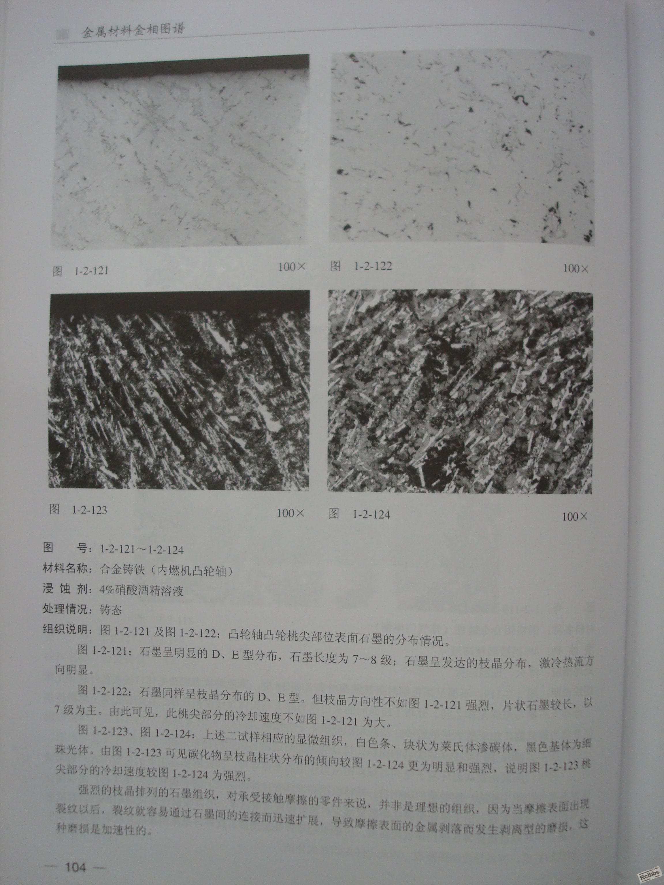 DSC06866.JPG