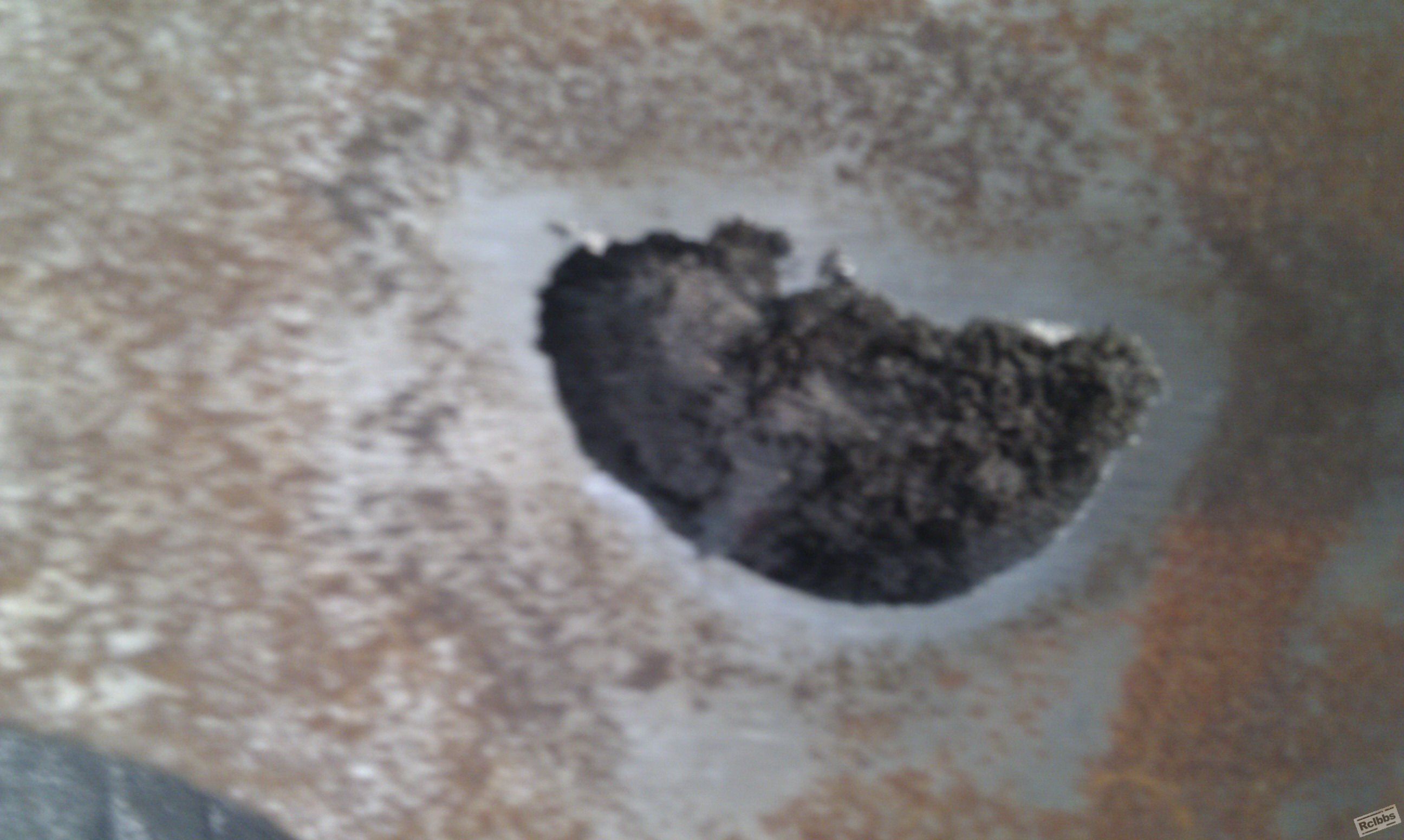 IMAG0272.jpg