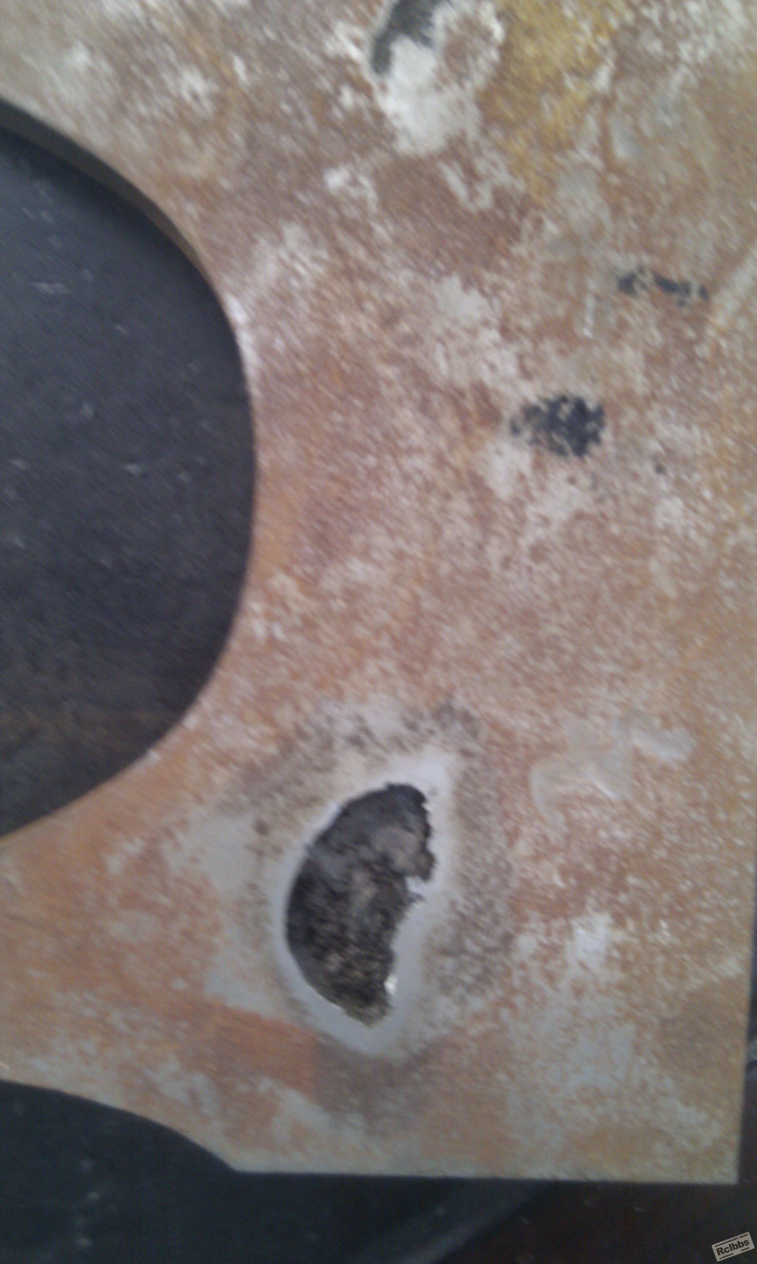 IMAG0273.jpg