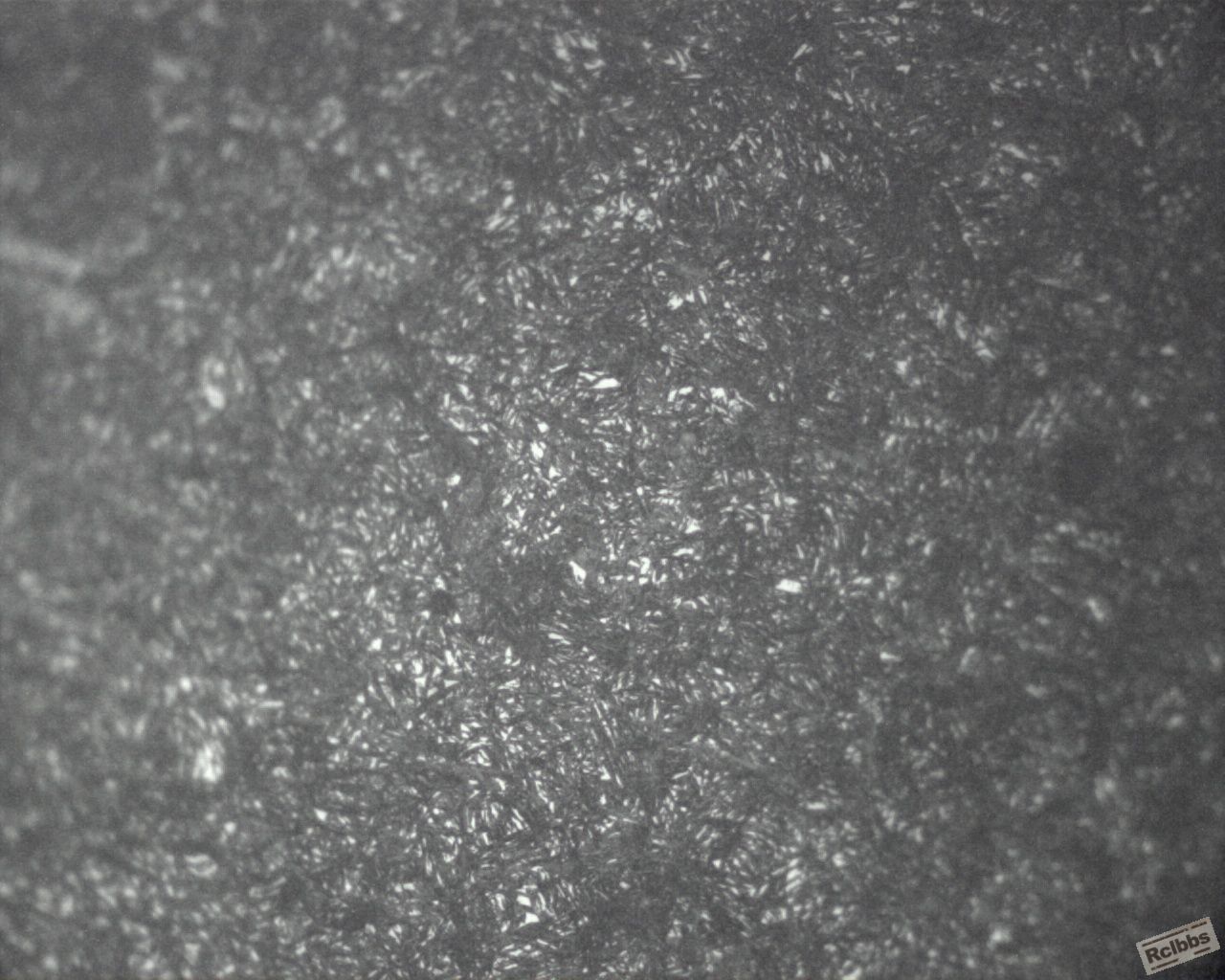 21-5000.jpg