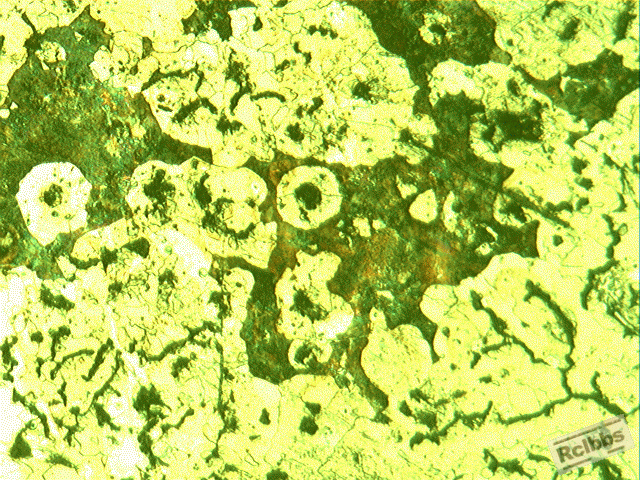 20120821153405531.gif