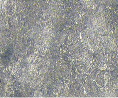 余热淬火6.jpg