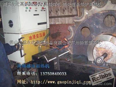 4520320.jpg