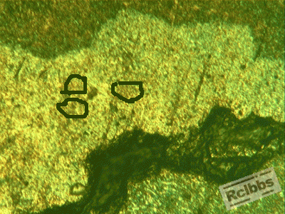 174812oza2dn745gv28qme.gif.thumb.gif