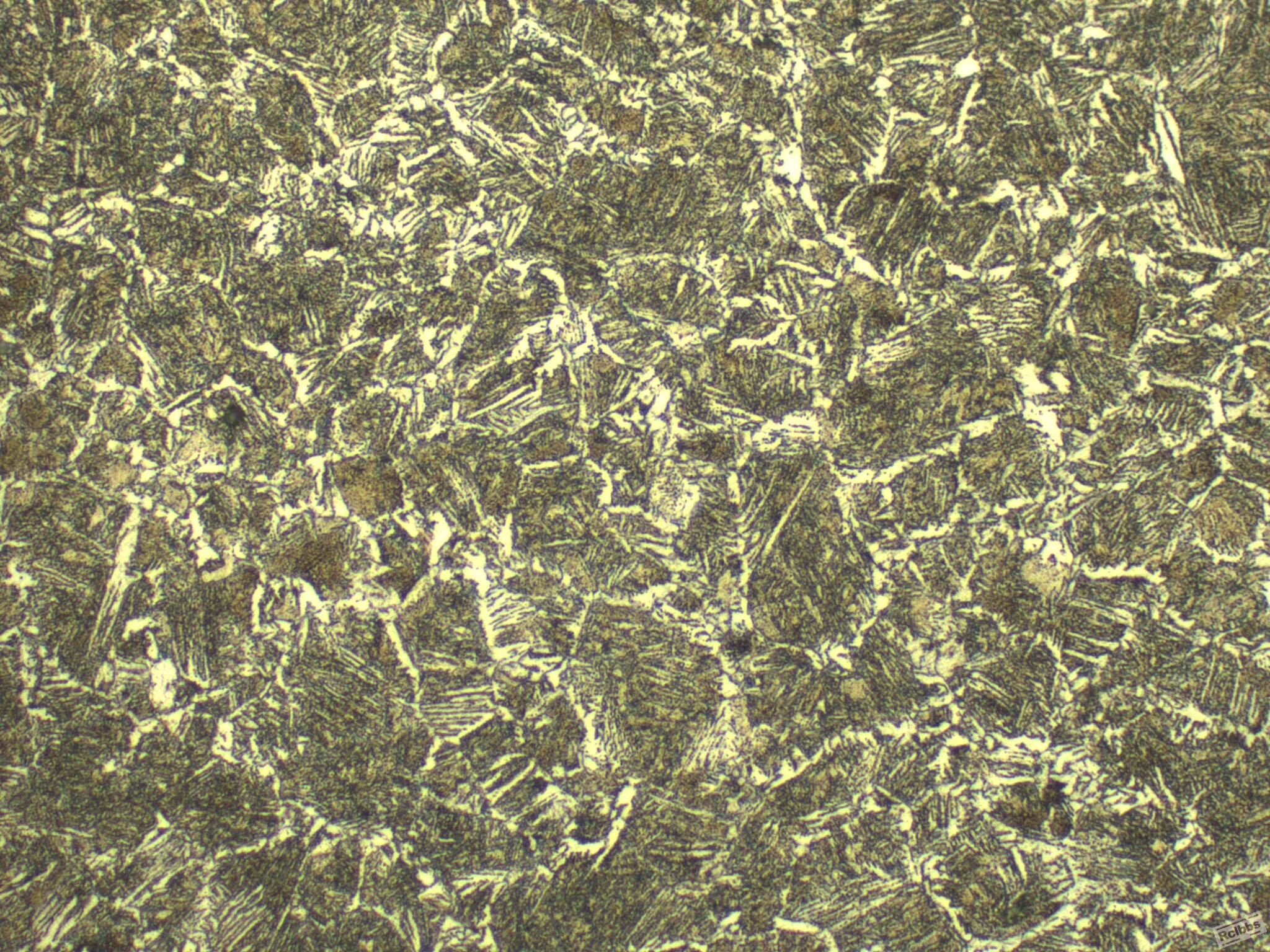 500X-41-2.jpg