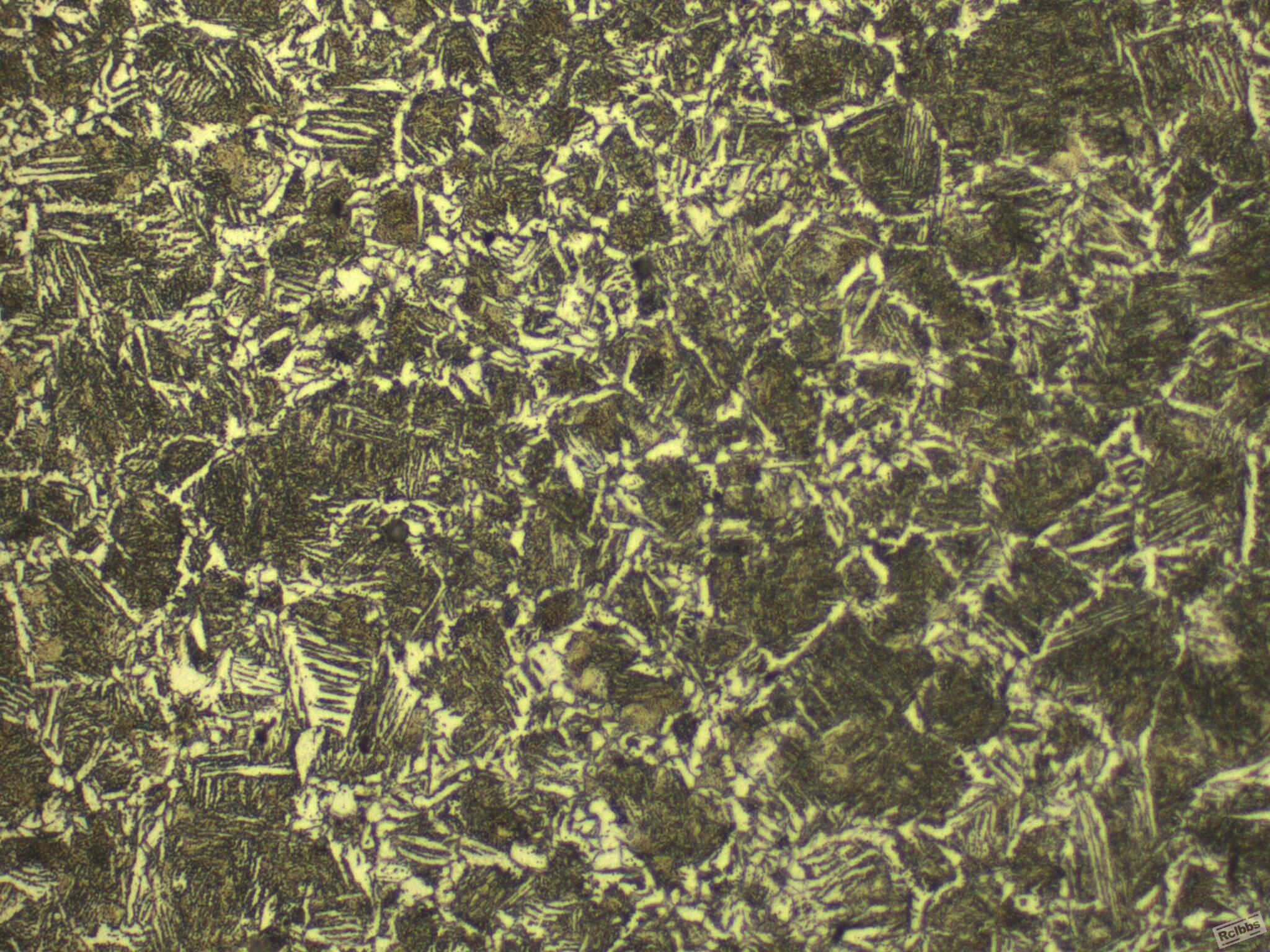 500X-42-2.jpg