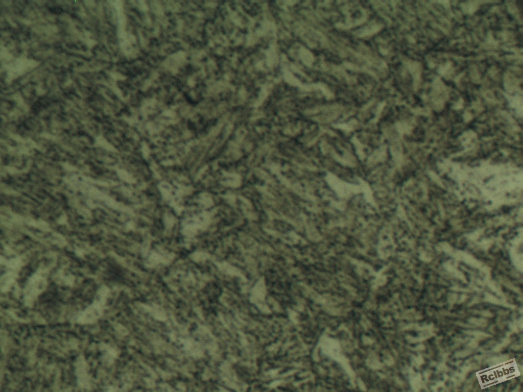 1000x1.gif