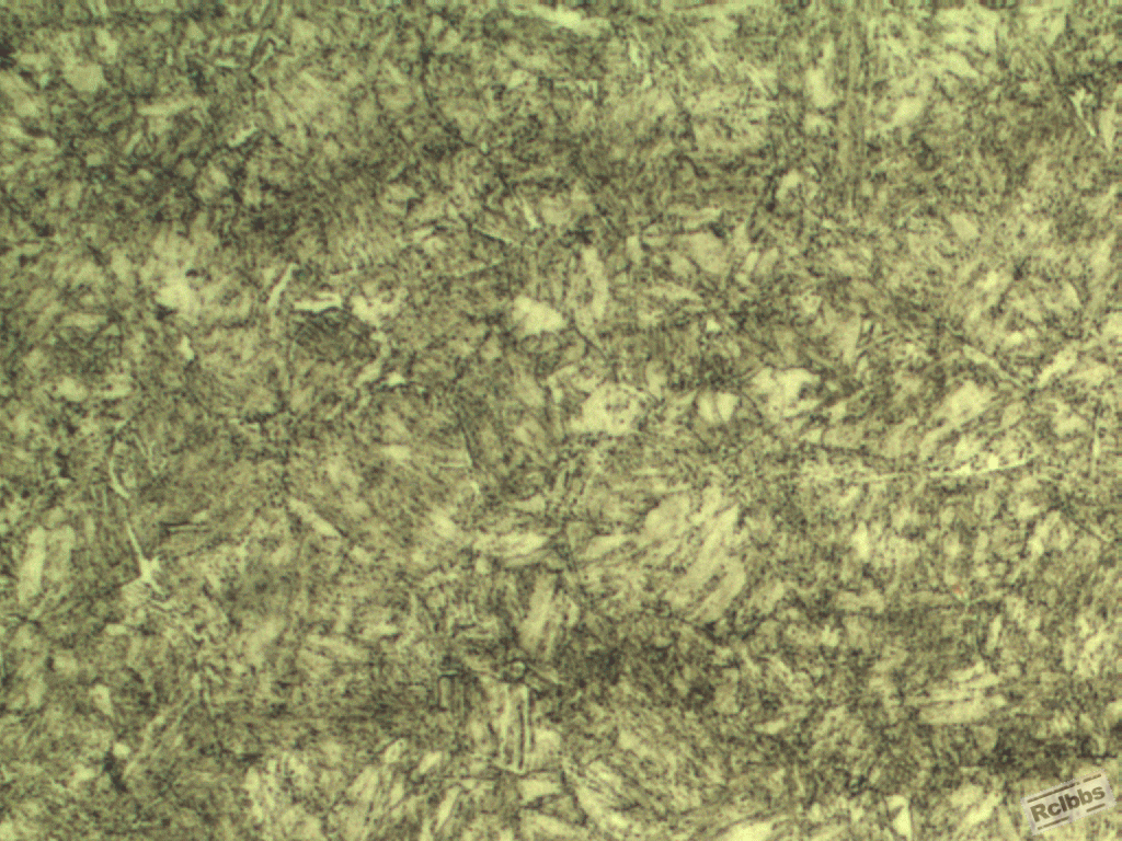 500x2.gif