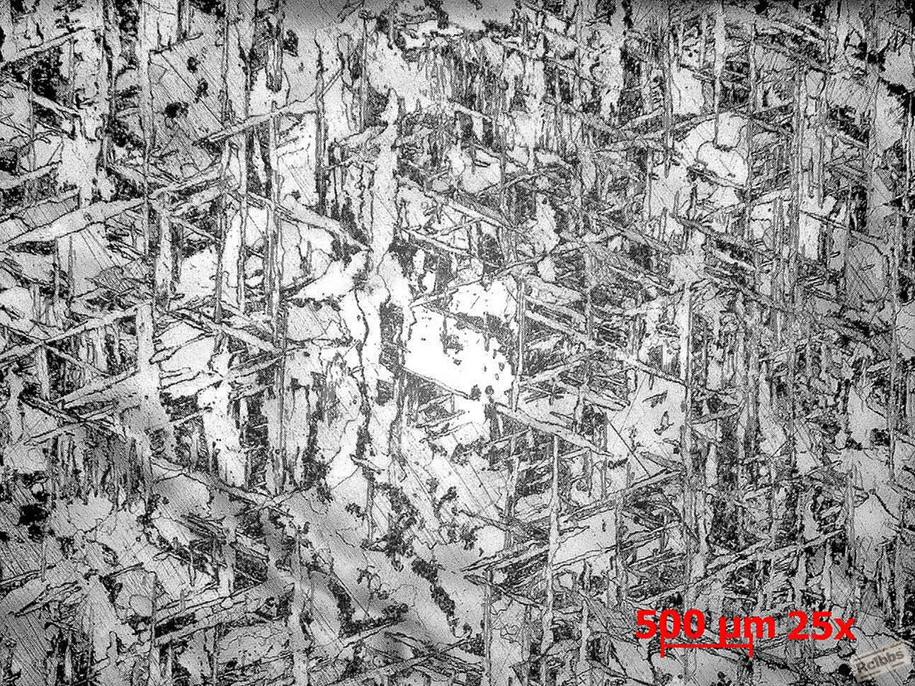 基体-25x.jpg