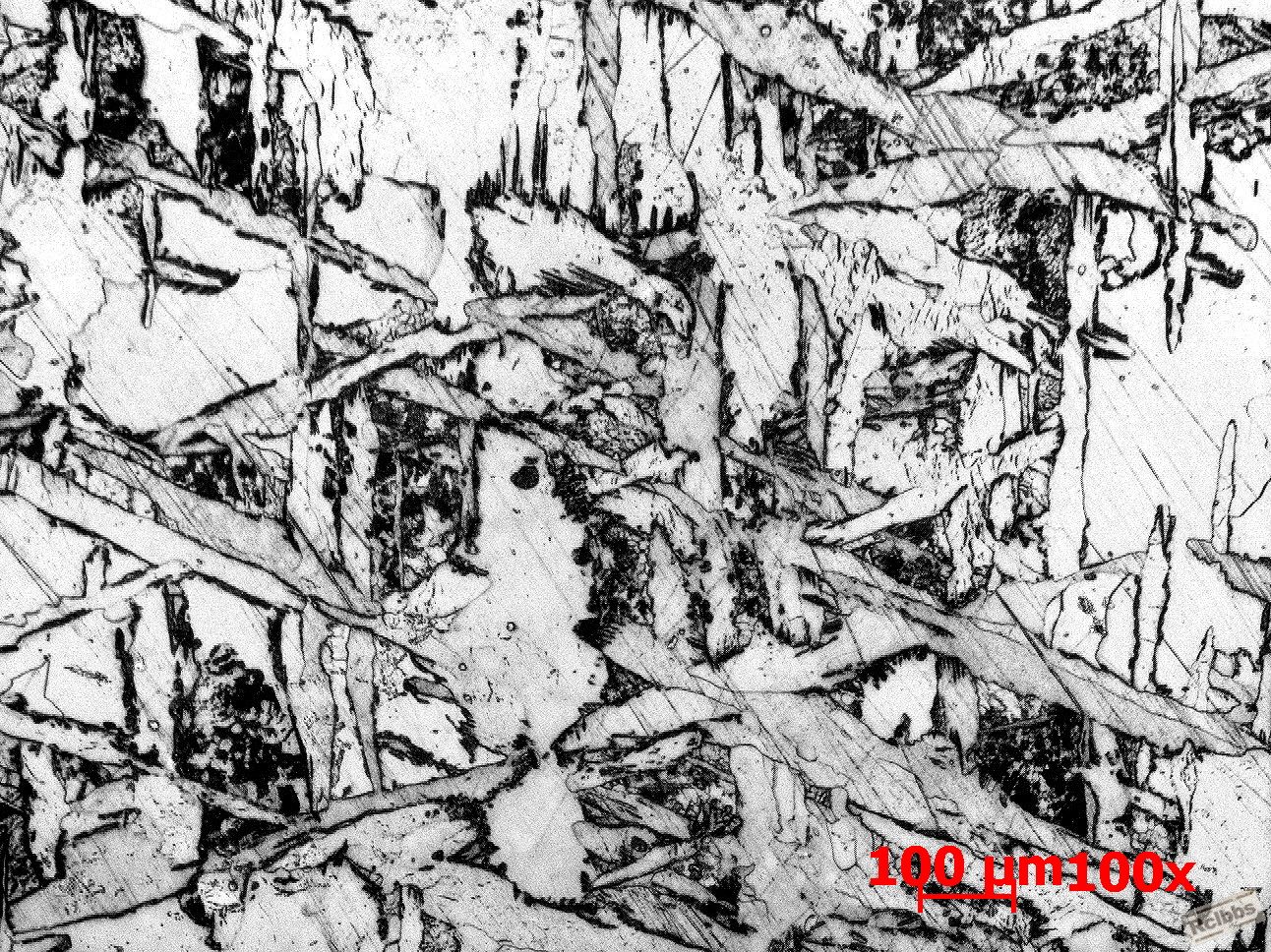 基体-100x.jpg