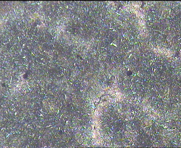 齿套9-5(100x)1.jpg
