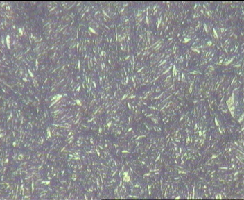 齿套9-5(400x)2.jpg