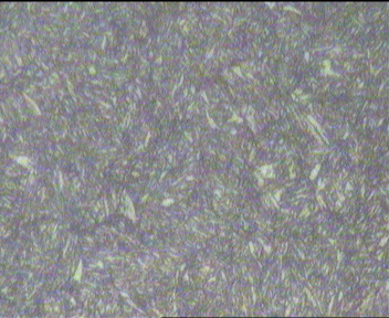 齿套9-5(400x).jpg